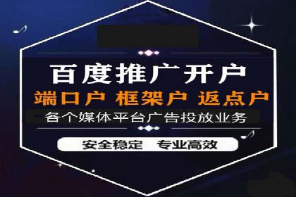 成功SEM服务案例：优化广告投放